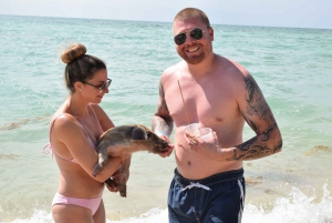 Nassau: Pig Beach Island Ticket with Hotel Transfer