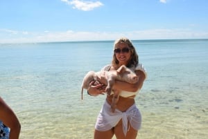 Nassau: Pig Beach Island Ticket with Hotel Transfer