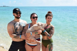 Nassau: Pig Beach Island Ticket with Hotel Transfer