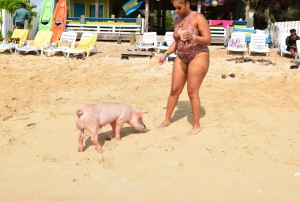 Nassau: Pig Beach Island Ticket with Hotel Transfer