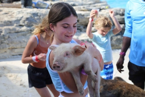 Nassau: Pig Island Swimming with the Pigs