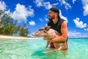 Nassau: Pigs Beach Trip by Boat with Swimming and Feeding