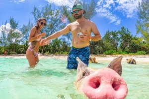 Nassau: Pigs Beach Trip by Boat with Swimming and Feeding