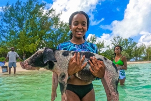 Nassau: Pigs Beach Trip by Boat with Swimming and Feeding