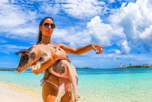 Nassau: Pigs Beach Trip by Boat with Swimming and Feeding