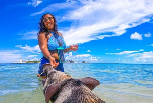 Nassau: Pigs Beach Trip by Boat with Swimming and Feeding