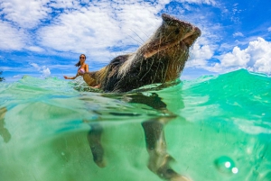 Nassau: Pigs Beach Trip by Boat with Swimming and Feeding