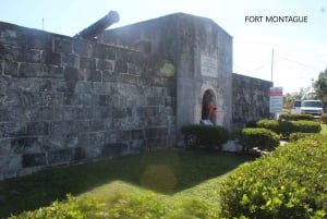 Nassau: Private und personalisierte Inseltour