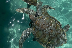 Nassau: Private Boat Charter Snorkel Tour