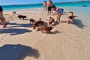 Nassau: Private Boat Charter Snorkel Tour