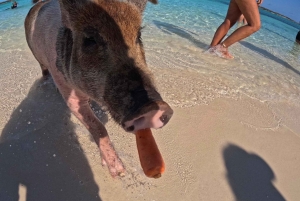 Nassau: Private Boat Charter Snorkel Tour