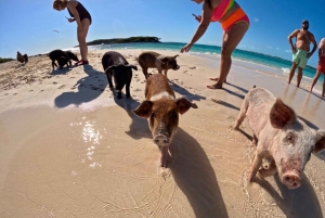 Nassau: Private Boat Charter Snorkel Tour