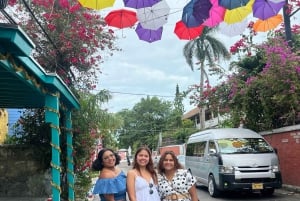 Nassau: Private City Highlights Tour