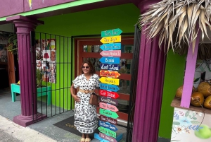 Nassau: Private City Highlights Tour