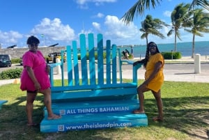 Nassau: Private City Highlights Tour