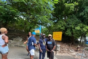 Nassau: Private City Highlights Tour