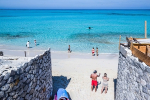 Nassau: Private Island & Snorkeling, Turtles, Drinks, & BBQ