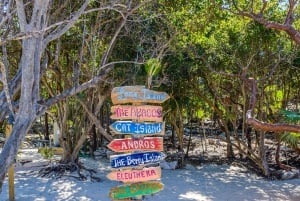 Nassau: Private Island & Snorkeling, Turtles, Drinks, & BBQ