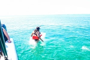 Nassau: Private Island & Snorkeling, Turtles, Drinks, & BBQ