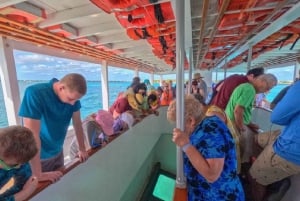 Nassau: Reef Glass Bottom & Snorkel Tour