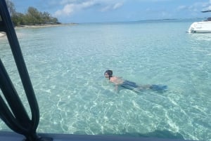Nassau: Tour delle 3 isole, snorkeling, spiaggia dei maiali, tartarughe e pranzo