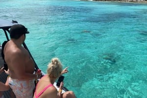 Nassau: Tur til 3 øer, snorkling, Pig Beach, skildpadder og frokost