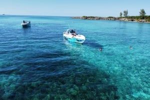 Nassau: Snorkeling em recifes, tartarugas, almoço e clube de praia particular