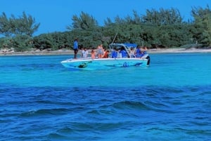 Nassau: Snorkelen in het rif, schildpadden, lunch & privéstrandtent