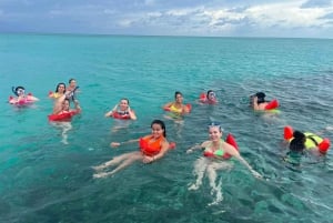 Нассау: подводное плавание на рифе, черепахи, обед и частный пляжный клуб