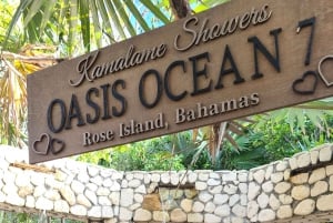 Nassau: Snorkeling na rafie, żółwie, lunch i prywatny klub plażowy