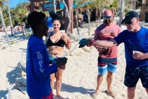 Nassau: Revsnorkling, skildpadder, frokost og privat strandklub
