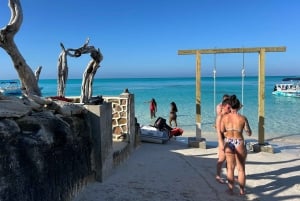 Nassau: Snorkelen in het rif, schildpadden, lunch & privéstrandtent