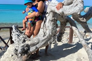 Nassau: Snorkelen in het rif, schildpadden, lunch & privéstrandtent