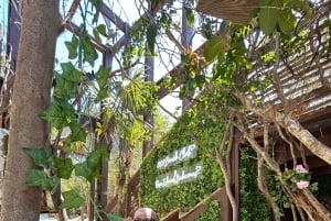Nassau: Snorkelen in het rif, schildpadden, lunch & privéstrandtent