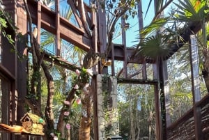 Nassau: Reef Snorkeling, Turtles, Lunch & Private Beach Club