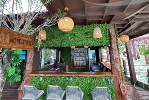 Nassau: Reef Snorkeling, Turtles, Lunch & Private Beach Club