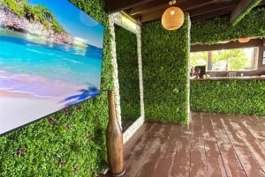 Nassau: Reef Snorkeling, Turtles, Lunch & Private Beach Club