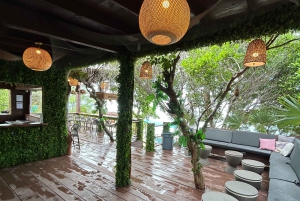 Nassau: Reef Snorkeling, Turtles, Lunch & Private Beach Club