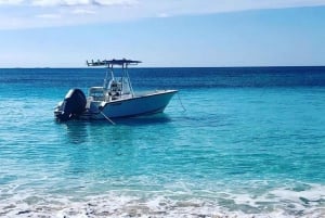Nassau: Rose Island and Green Cay Private Snorkeling Tour