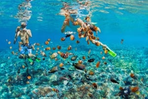 Nassau: Passeio de barco pela Ilha Rosa com mergulho com snorkel