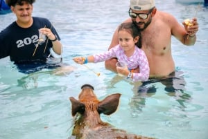 Nassau: ISOLA DELLE ROSE PERFETTA PER LE VACANZE DI GRUPPO IN SPIAGGIA