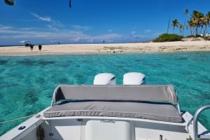 Nassau : Excursion en bateau rapide sur l'île Rose (plongée avec tuba, tortues et plage)