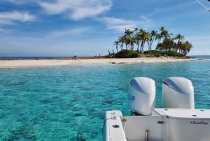 Nassau: Rose Island Schnorcheln, Schildkröten & Strand Speedboat Tour