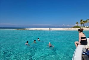 Nassau: Snorklingstur med simmande grisar och sköldpaddor på Rose Island