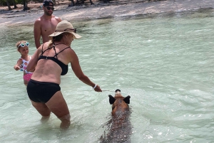 Nassau: Rose Island Swimming Pigs & Turtles Snorkeling Tour