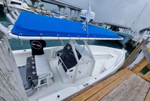 Nassau: Rose Island Swimming Pigs & Turtles Snorleking Tour
