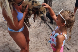 Nassau: Rose Island Swimming Pigs & Turtles Snorleking Tour