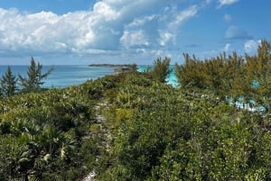 Nassau: Rose Island Ultimate Beach Day Escape