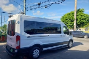 Nassaus: edestakainen lentokenttäkuljetus Paradise Islandille