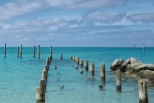 Nassaun skootteriseikkailukierros